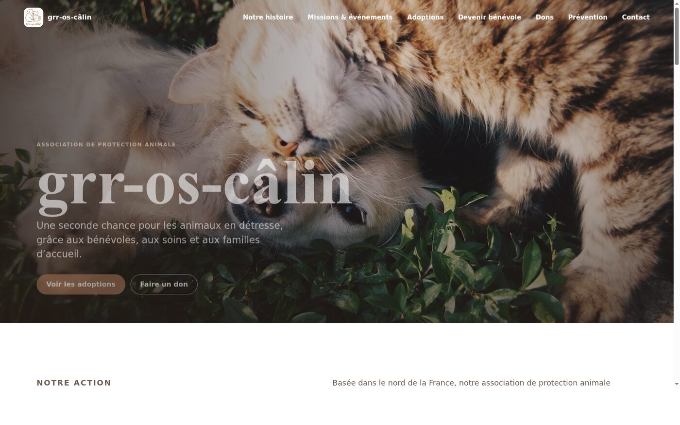 Page d'accueil du site de Grr-os-câlin
